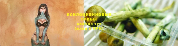 каннабис Арсеньев