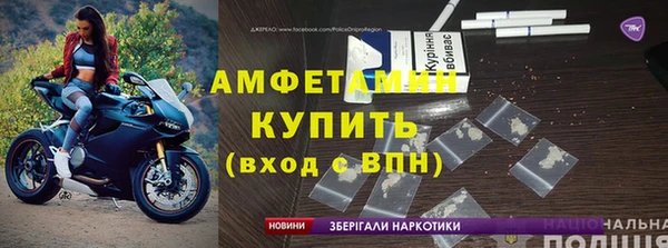 твердый Аркадак