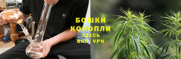 трава Армянск