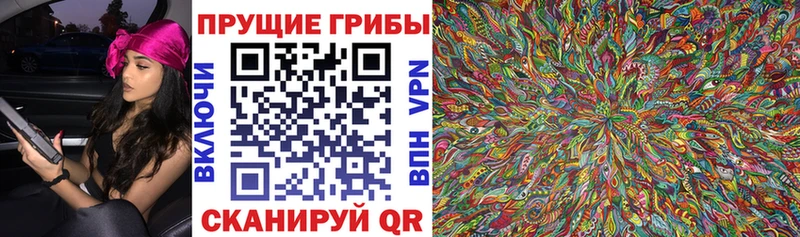 Галлюциногенные грибы прущие грибы Дыгулыбгей